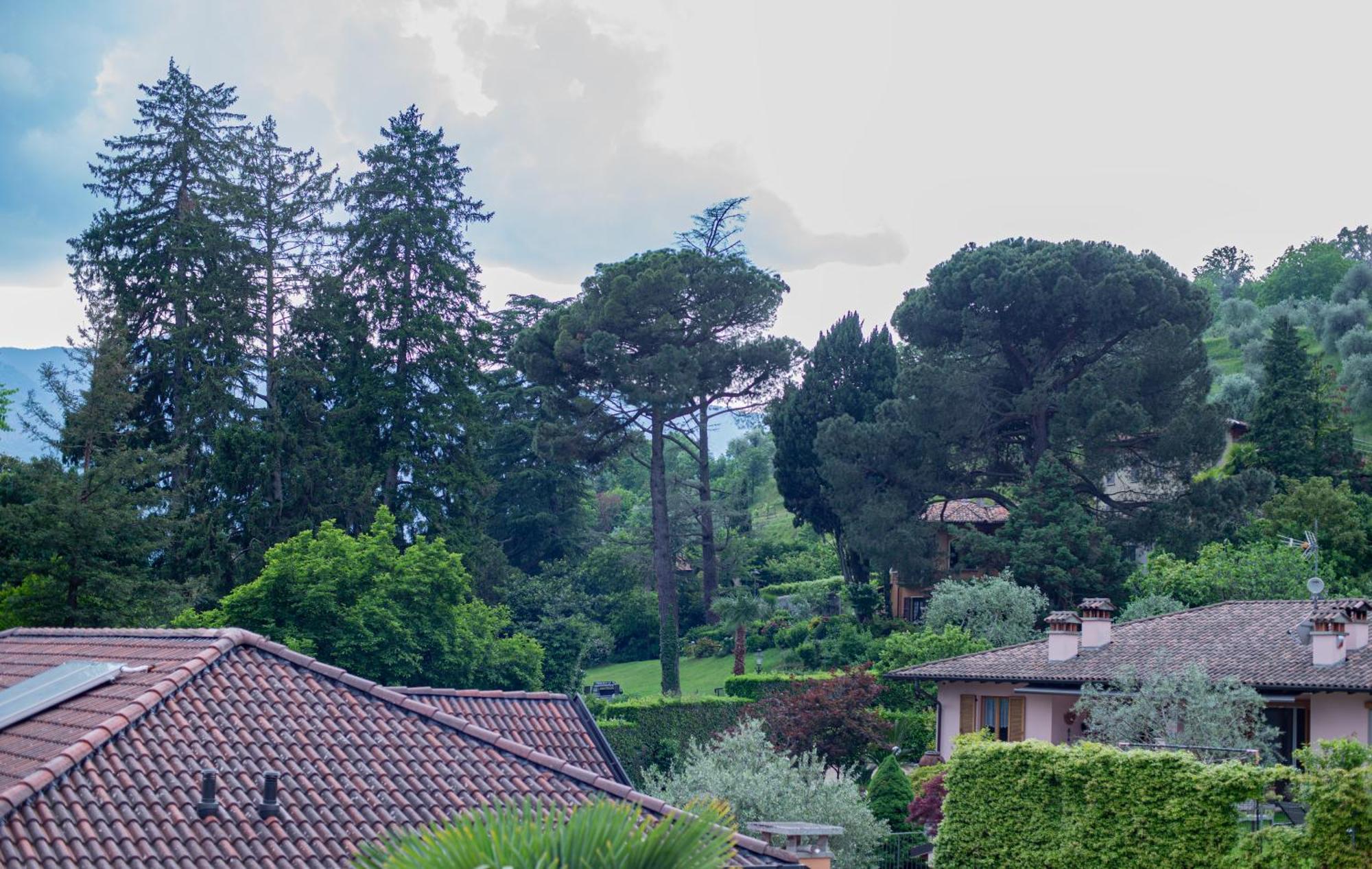 Serene Garden Getaway Cadenabbia Exterior foto